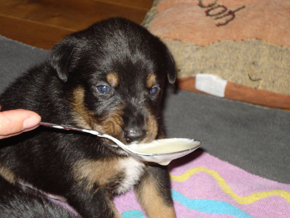 Ik ben er nog niet over uit of ik dat wel lekker vind hoor!