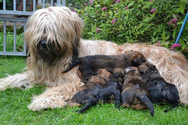 La Jeunesse de Valence