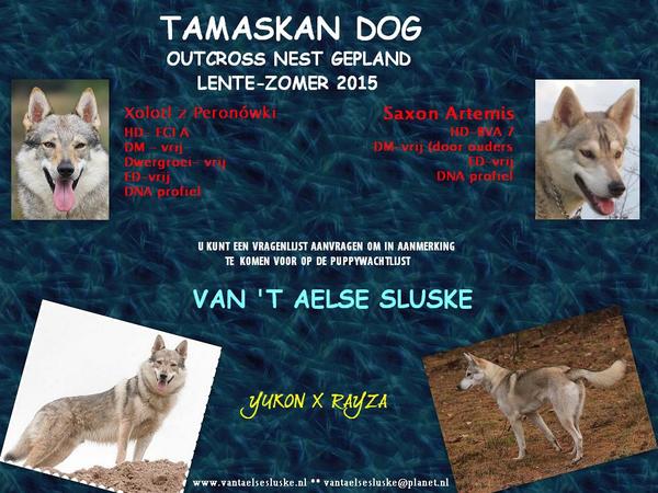 van 't Aelse Sluske
