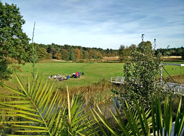 De heide