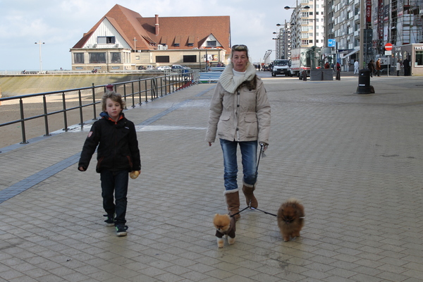 samson en bobientje aan zee