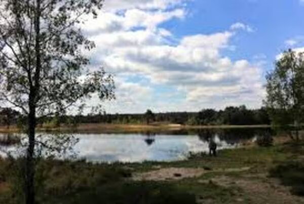 Achter de camping