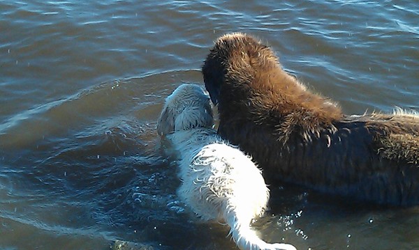 wit of donker, klein of groot, samen zijn. 