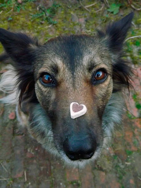 I give you my hart...