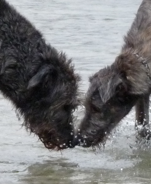Liefde tussen moeder en dochter.