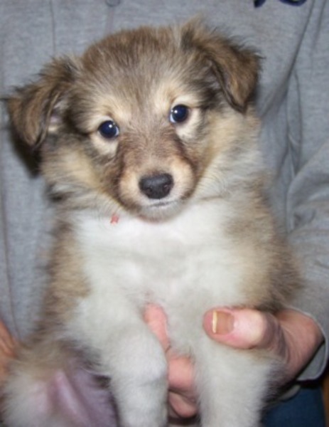 Een mooier kerstcadeau bestaat niet