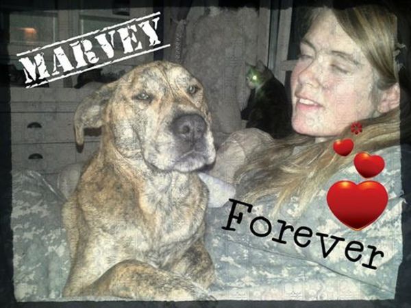 Kerstgedachte is......