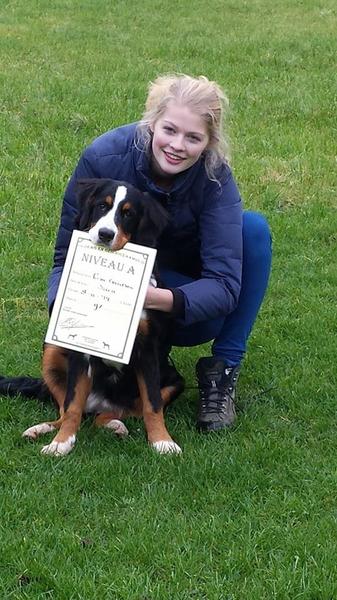 Kerstgedachte - samen naar een hoger niveau!