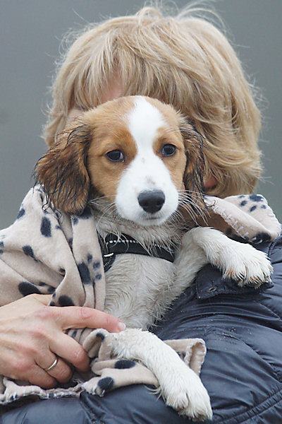 Vrienden voor het leven