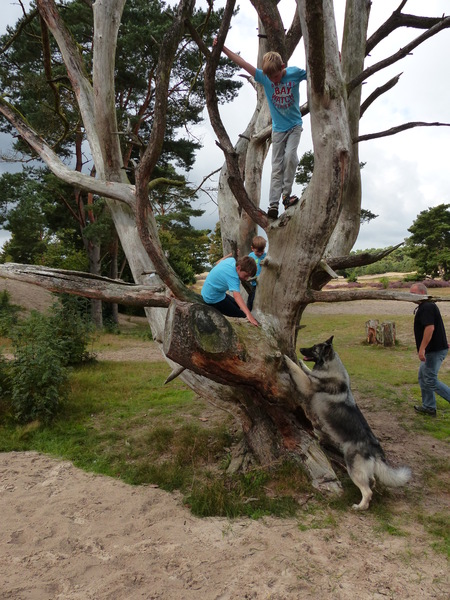 zo dicht mogelijk bij de kinderen blijven
