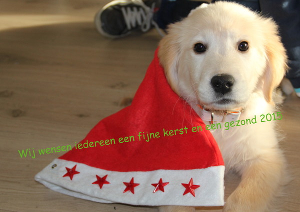 kerst en nieuwjaars wens