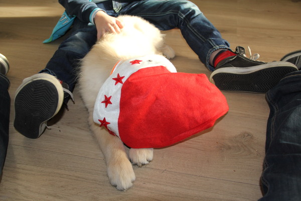 ik kan het niet meer aanzien..