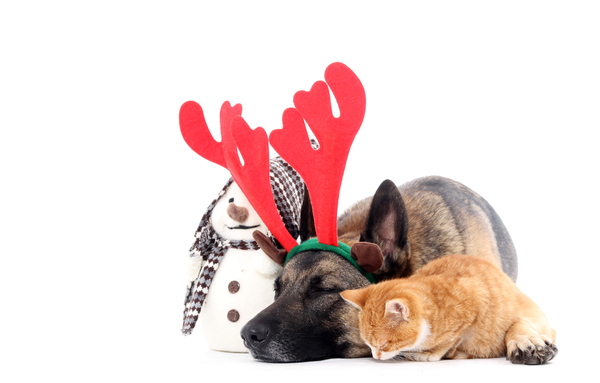 samen een tukkie doen