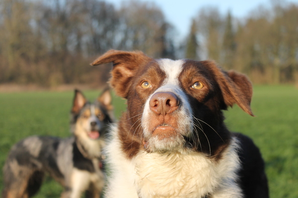 Caylinn wilt ook op de foto!