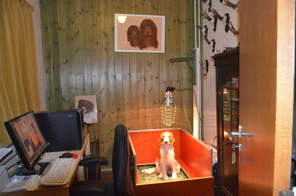 Kennel van de Drentsche Hünnen