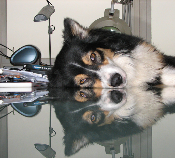 Uh ff goed kijken hoor!