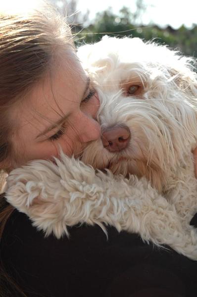 Dog Sweet Dog 