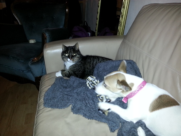 afgeleid door haar touw