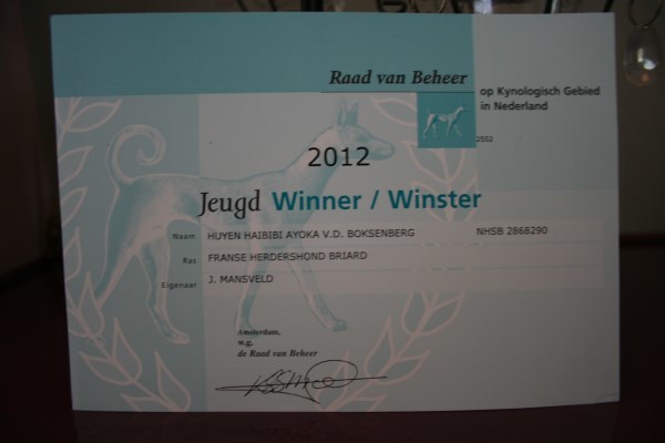 Briards du Rêve Lourd d'Été