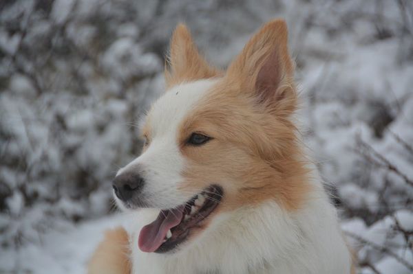 Borders Of The Beach