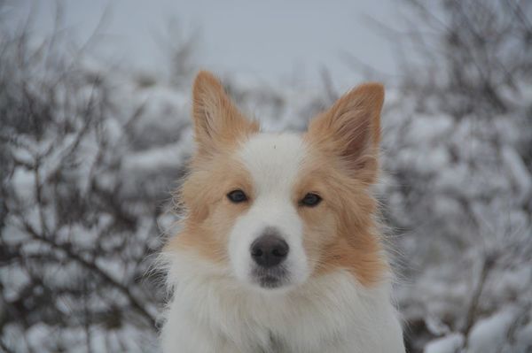 Borders Of The Beach