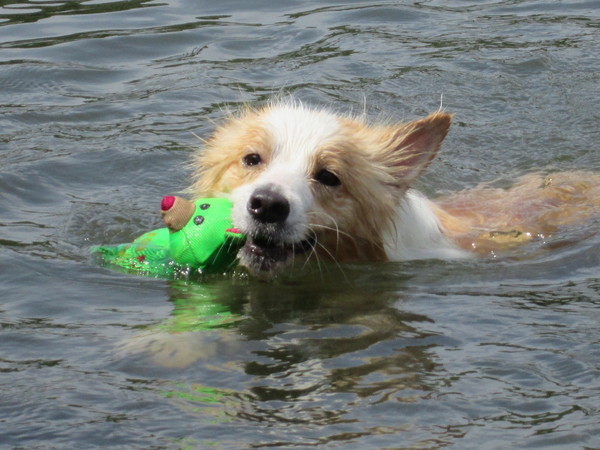 Borders Of The Beach
