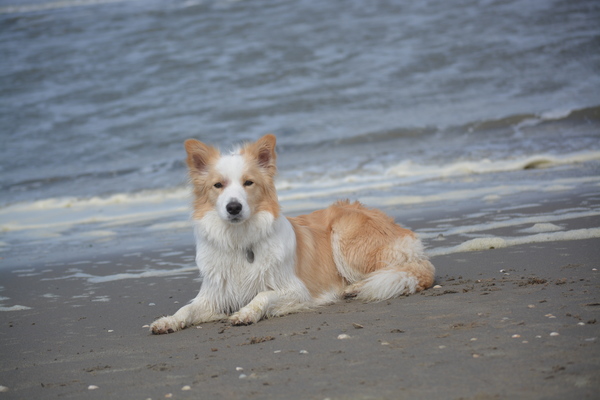 Borders Of The Beach