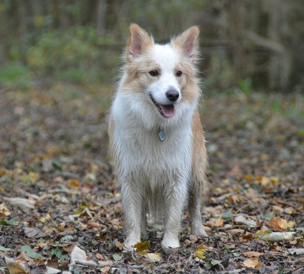 Borders Of The Beach
