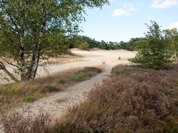 Nationaalpark loonse en drunese duinen