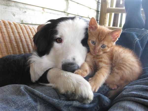 vrienden voor het leven!