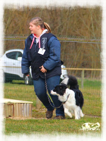 Borders From The Sky