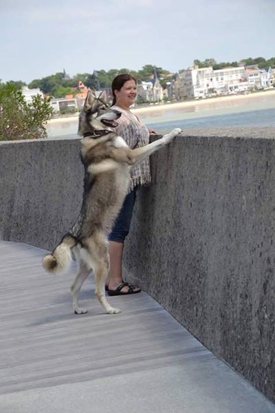 uitkijk over een Franse haven