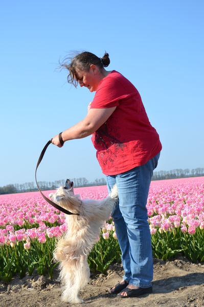 Fleurige vrolijkheid