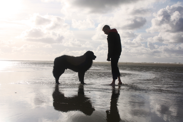 Samen aan het strand
