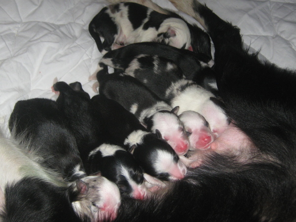 bonita  en broertjes en zusjes