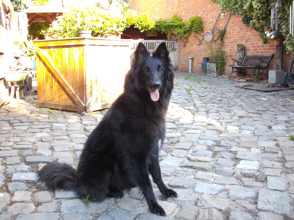 Tikaani 's hof ter Lede