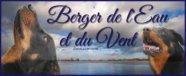 Berger de Léau et du Vent