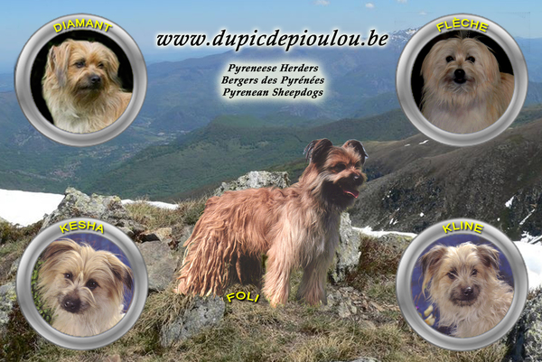 Du Pic De Pioulou