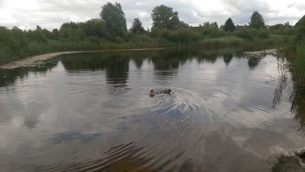 Prachtig stukje natuur met strandjes