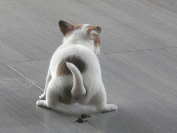 Ik heb er gewoon sch......t aan