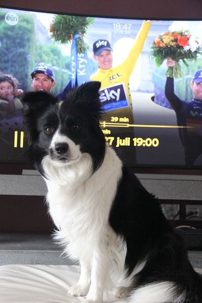 Verenigd Koninkrijk boven! 