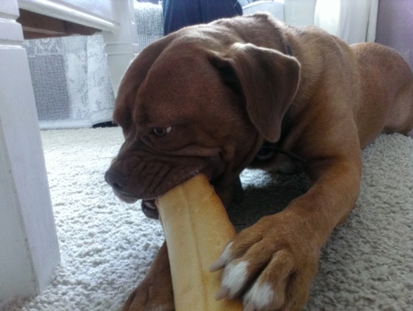 Une baguette, s'il vous plaît