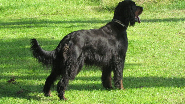 From Vancouver Castle