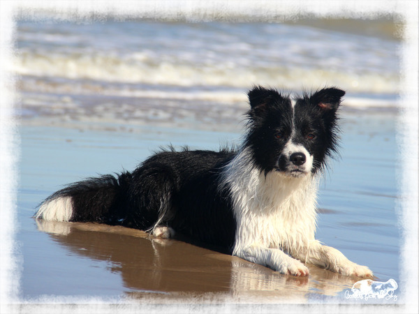Een laatste keer van de zon genieten aan zee.