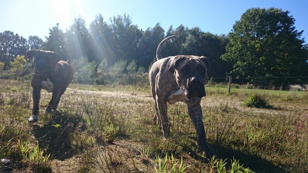 Nog even van de zon genieten