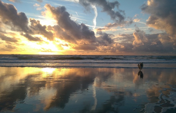Nazomer vakantie met Lupa 