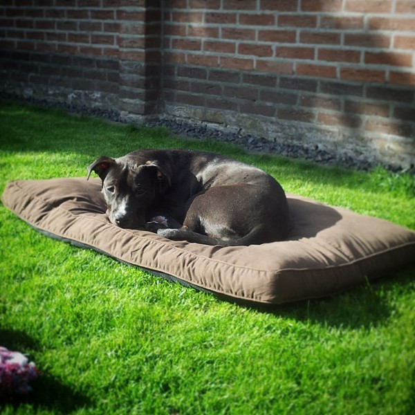 Lekker relaxen in de zon