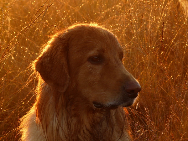 Genieten van de prachtige zonsopgangen