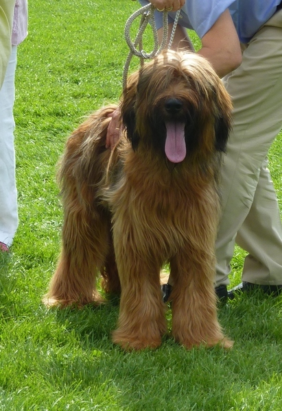 La Jeunesse de Valence