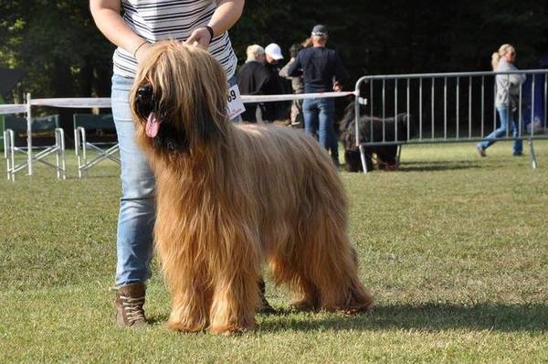 La Jeunesse de Valence